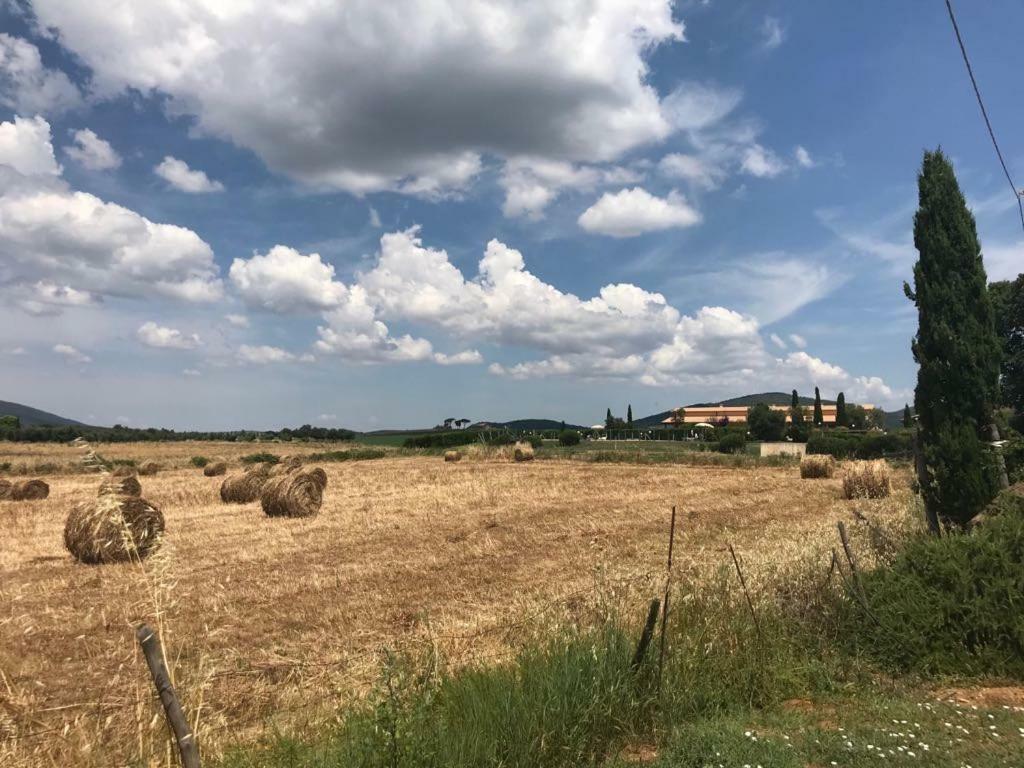 Agriturismo Colle D' Oro Pescia Romana Extérieur photo